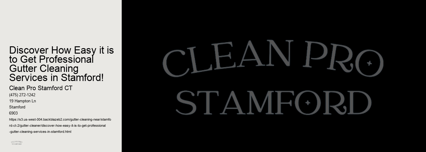Discover How Easy it is to Get Professional Gutter Cleaning Services in Stamford! 