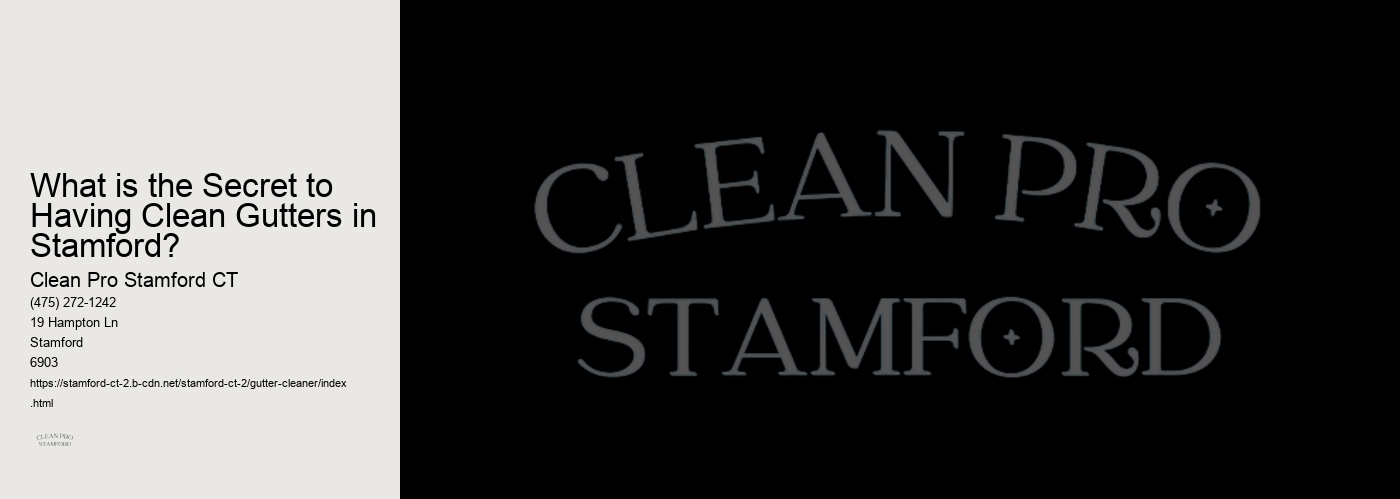 What is the Secret to Having Clean Gutters in Stamford? 