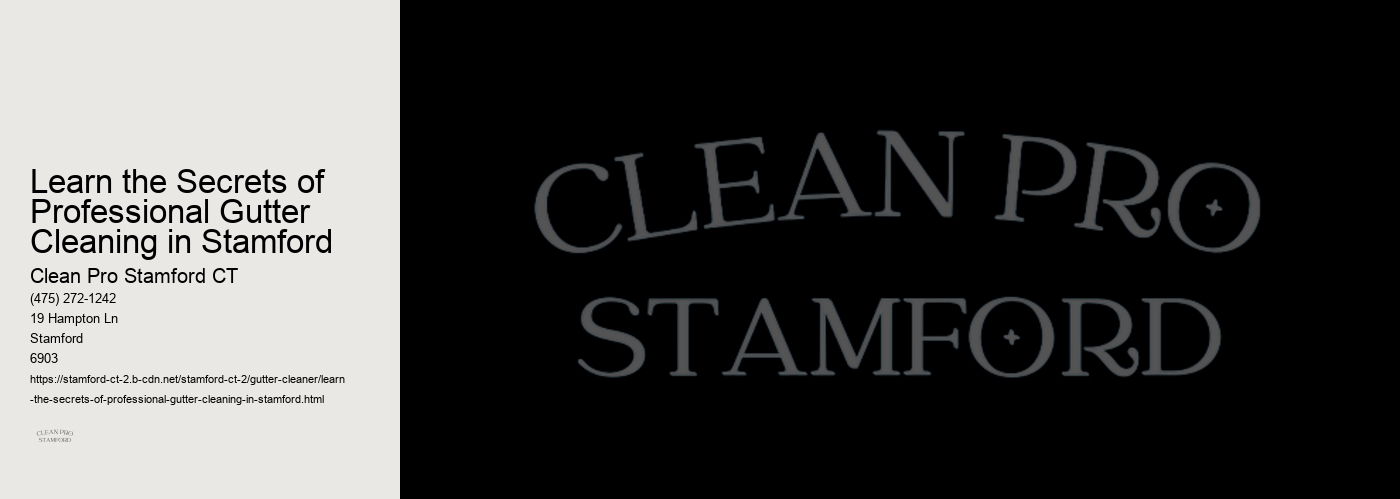 Learn the Secrets of Professional Gutter Cleaning in Stamford 