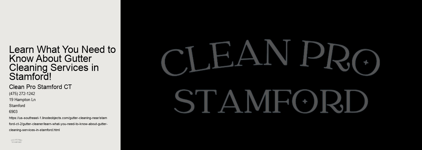 Learn What You Need to Know About Gutter Cleaning Services in Stamford! 