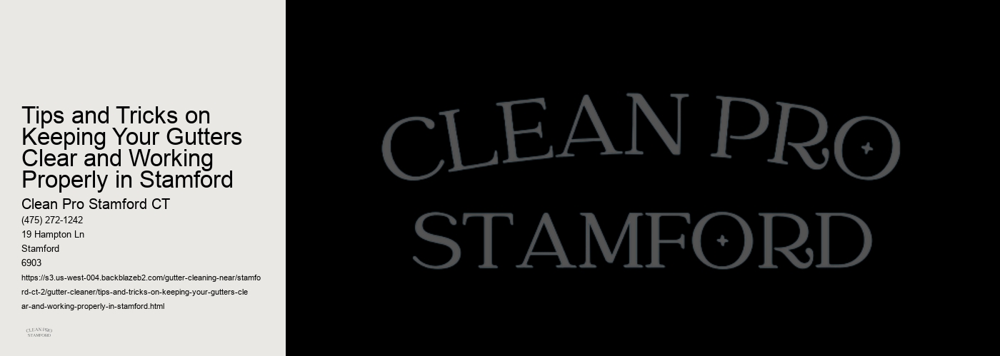 Tips and Tricks on Keeping Your Gutters Clear and Working Properly in Stamford