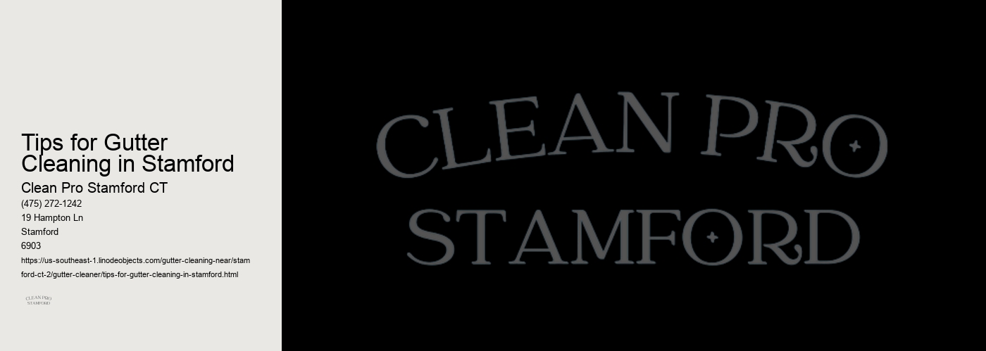 Tips for Gutter Cleaning in Stamford 